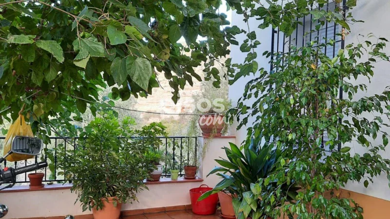 Casa en venta en Alhama de Almería - Imagen 11