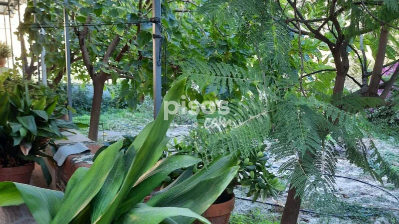 Casa en venta en Alhama de Almería - Imagen 3