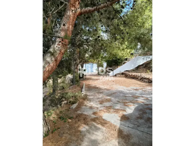 Casa en venta en Calle Paraje Llano del Alcón