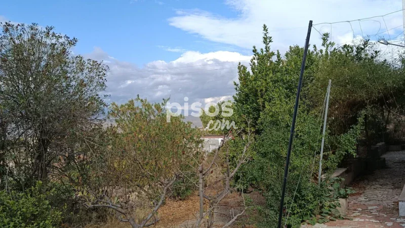 Casa en venta en Calle Paraje Llano del Alcón - Imagen 3