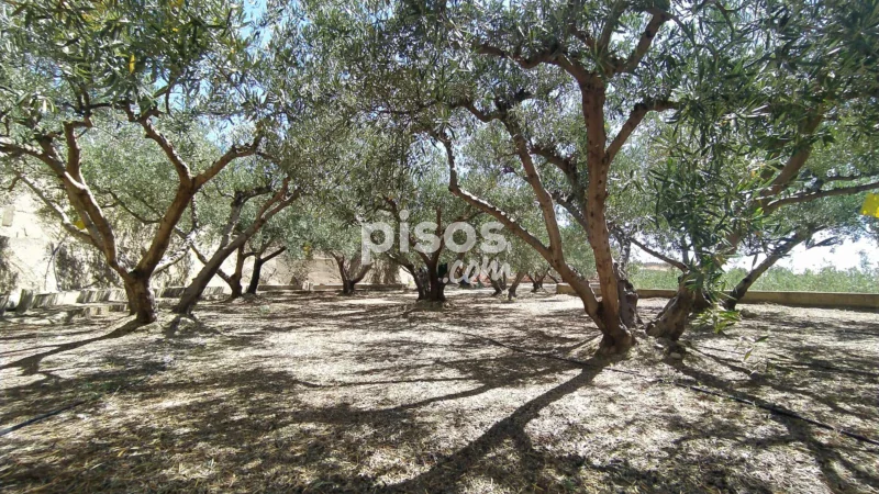 Casa en venta en Calle Peñicas Blancas - Imagen 2