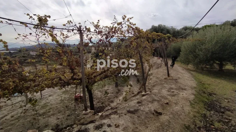 Chalet en venta en Calle Diseminado, Número 1 - Imagen 9