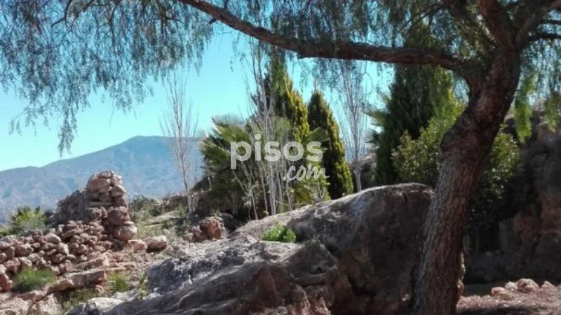 Chalet en venta en Calle Paraje Loma Galera, Número 1 - Imagen 11