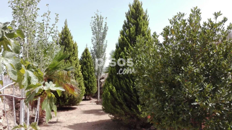 Chalet en venta en Calle Paraje Loma Galera, Número 1 - Imagen 3