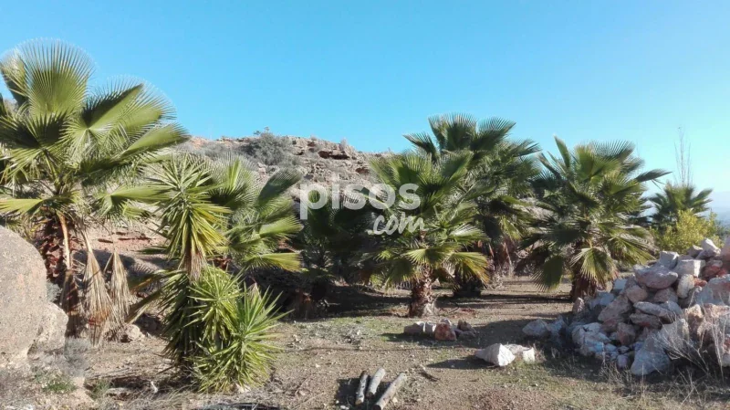 Chalet en venta en Calle Paraje Loma Galera, Número 1 - Imagen 7