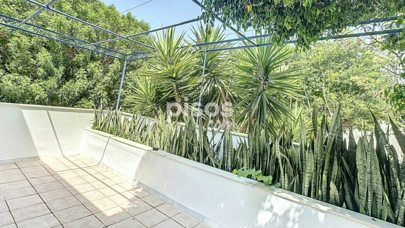 Chalet en venta en Ciudad Jardín-Tagarete-Zapillo - Imagen 7