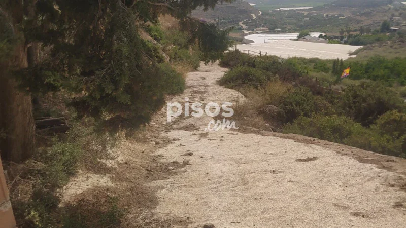 Terreno en venta en Alhama de Almería - Imagen 4