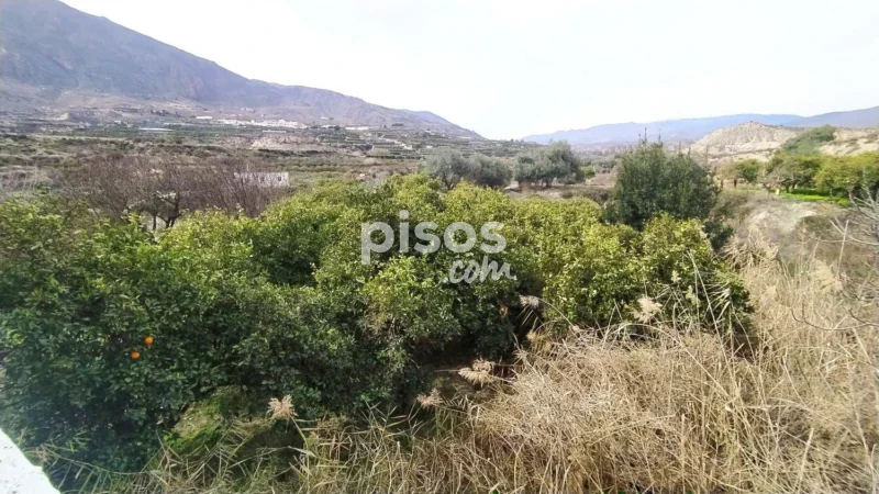 Terreno en venta en Calle Diseminado, Número 0 - Imagen 13