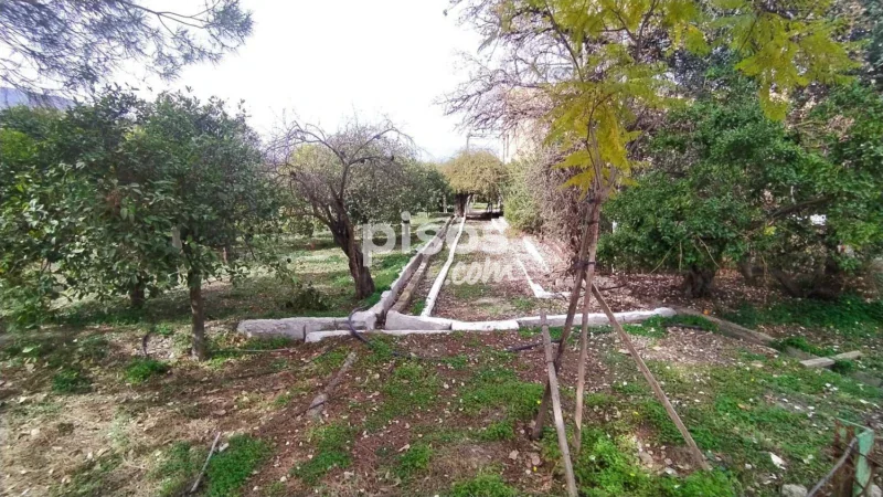 Terreno en venta en Calle Diseminado, Número 0 - Imagen 15