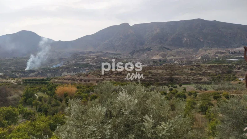 Terreno en venta en Calle Diseminado, Número 0 - Imagen 9