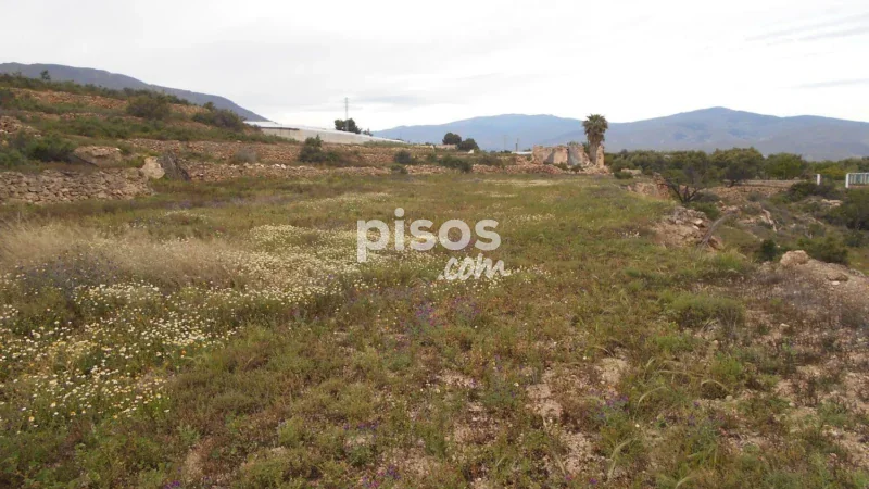 Terreno en venta en Calle Paraje Tejoneras, Número 0 - Imagen 13