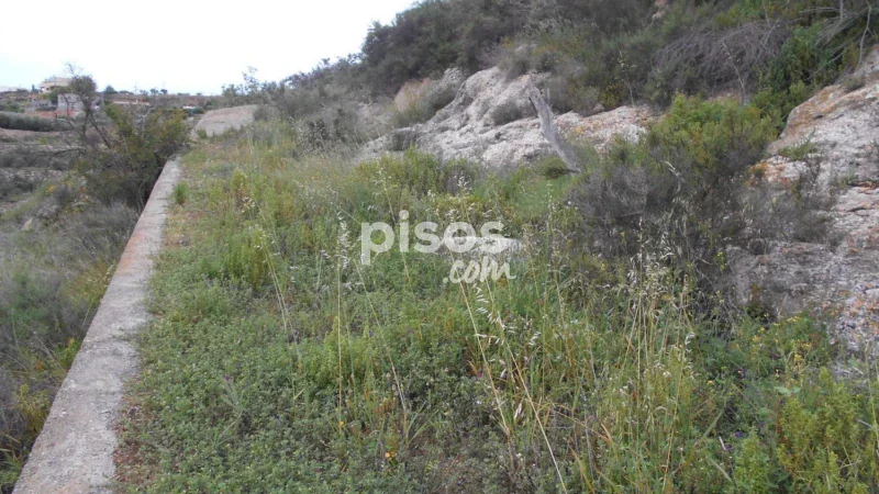 Terreno en venta en Calle Paraje Tejoneras, Número 0 - Imagen 5