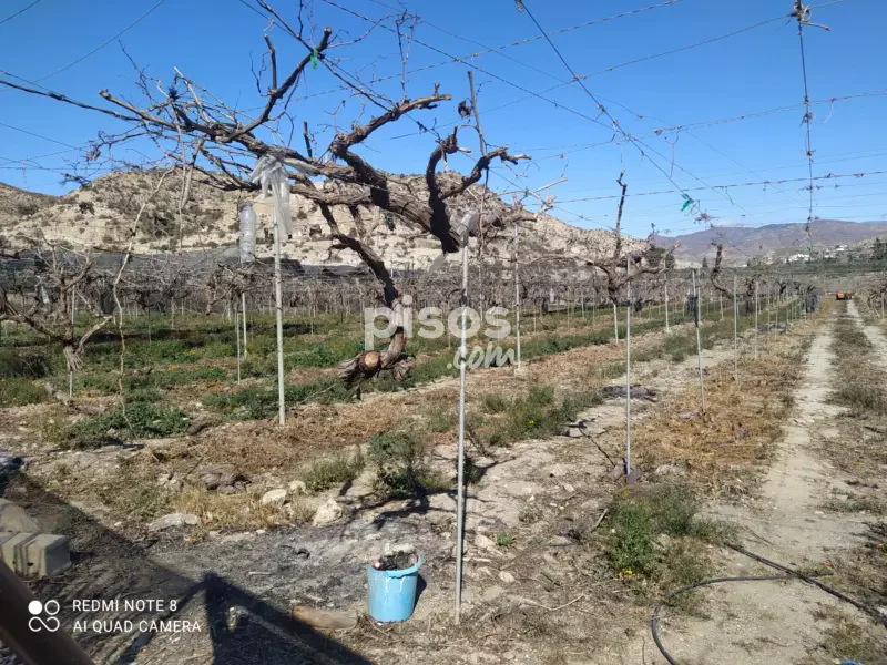 Terreno en venta en Calle Río Nacimiento