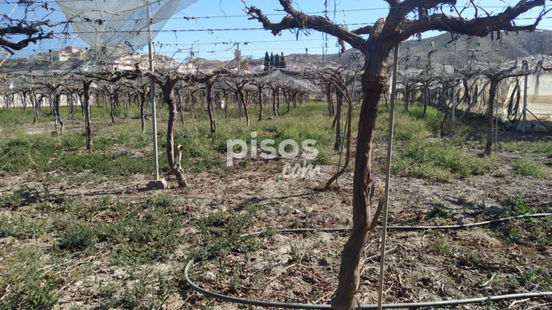 Terreno en venta en Calle Río Nacimiento - Imagen 12