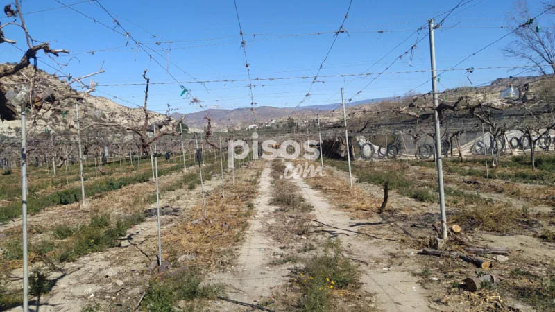 Terreno en venta en Calle Río Nacimiento - Imagen 2