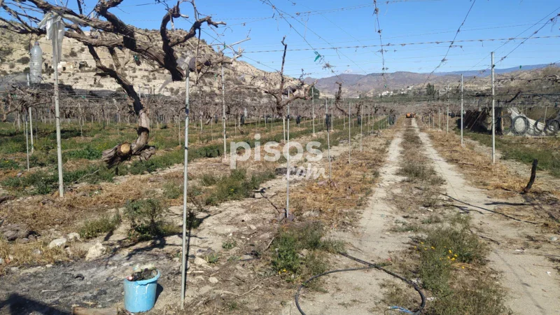 Terreno en venta en Calle Río Nacimiento - Imagen 3