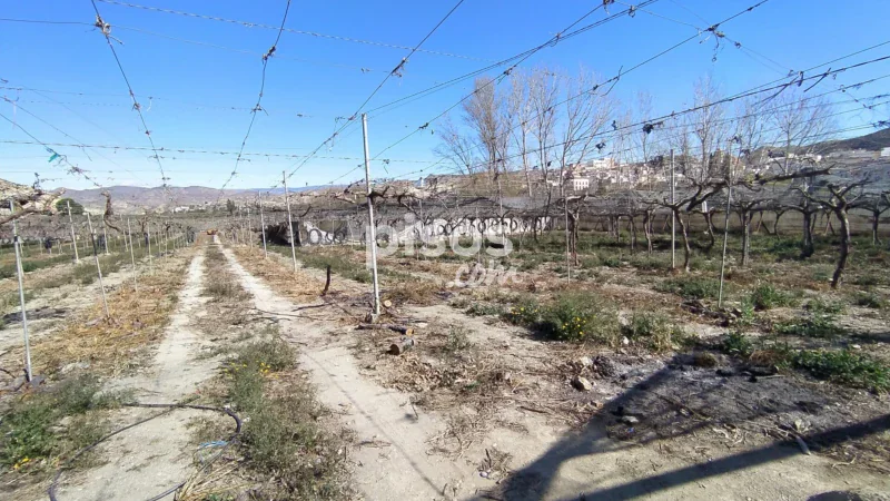 Terreno en venta en Calle Río Nacimiento - Imagen 5