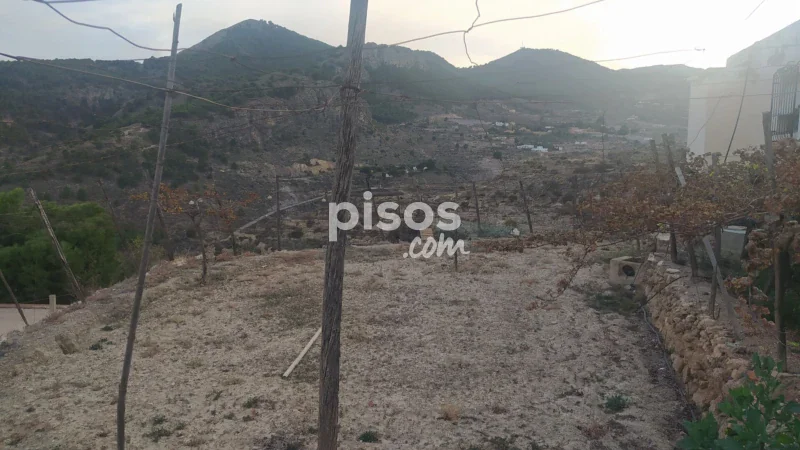 Terreno en venta en Camino Peñicas Blancas - Imagen 4