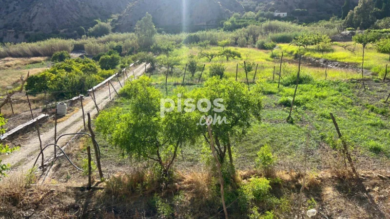 Terreno en venta en Canjáyar - Imagen 15