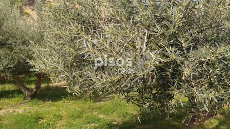 Terreno en venta en Carretera Granada - Imagen 5