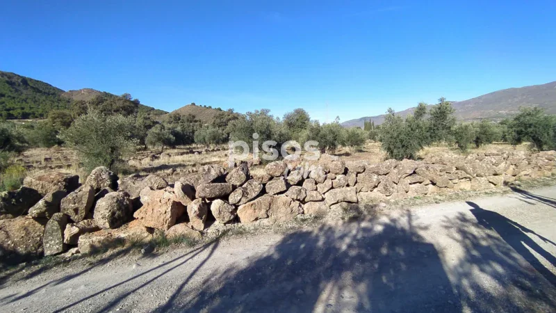 Terreno en venta en La Barriada de Alcora - Imagen 10