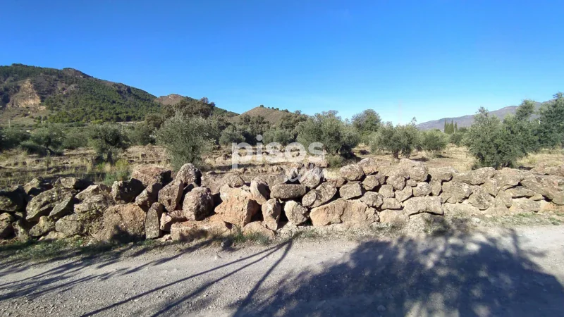 Terreno en venta en La Barriada de Alcora - Imagen 11