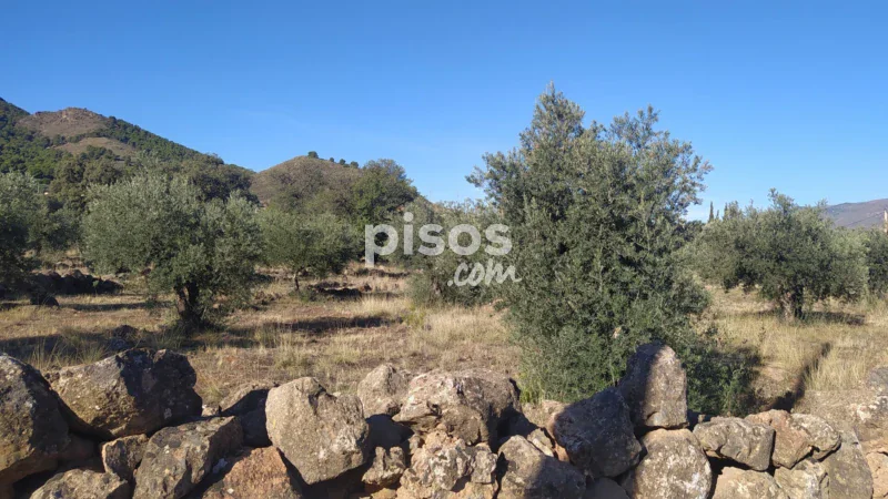 Terreno en venta en La Barriada de Alcora - Imagen 12