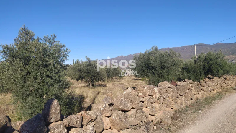 Terreno en venta en La Barriada de Alcora - Imagen 13