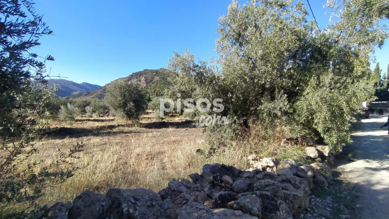 Terreno en venta en La Barriada de Alcora - Imagen 15