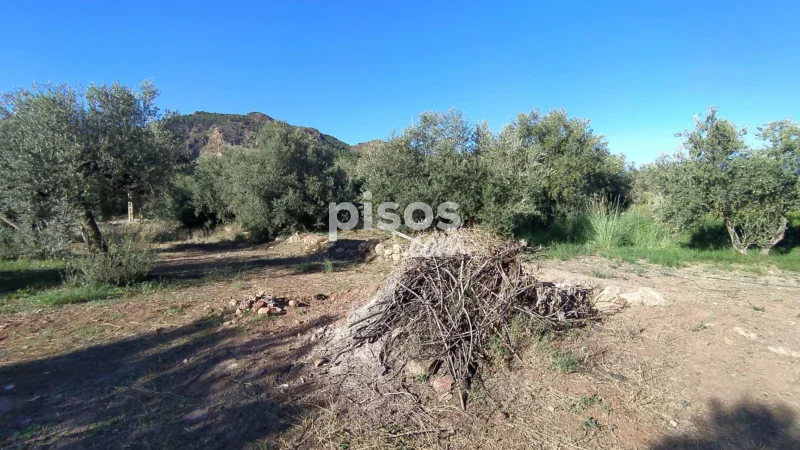 Terreno en venta en La Barriada de Alcora - Imagen 2