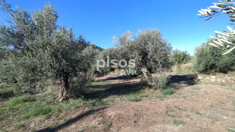 Terreno en venta en La Barriada de Alcora - Imagen 3