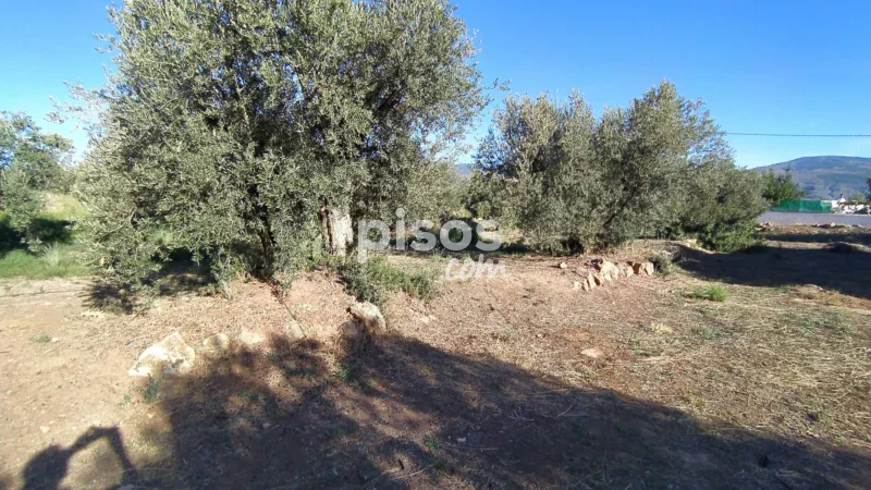 Terreno en venta en La Barriada de Alcora - Imagen 4