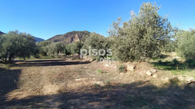 Terreno en venta en La Barriada de Alcora - Imagen 5