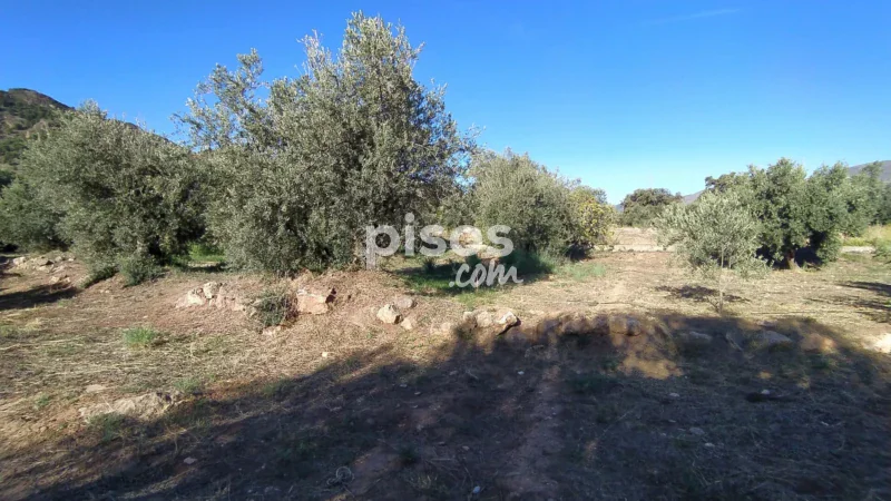 Terreno en venta en La Barriada de Alcora - Imagen 7