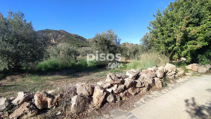 Terreno en venta en La Barriada de Alcora - Imagen 8