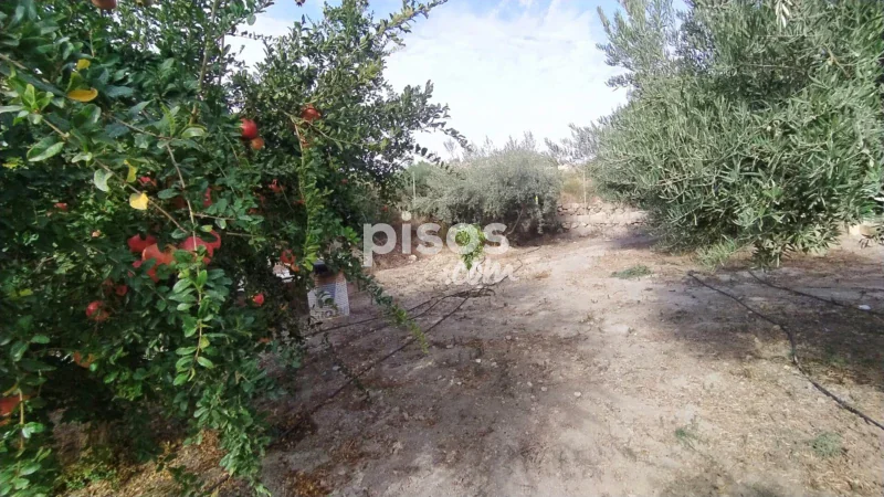 Terreno en venta en Pasaje Ramblon - Imagen 3